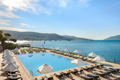 Day, Pool view, Sea view, Swimming pool, sunbed