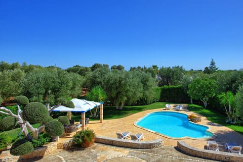 Garden, Swimming pool, Swimming pool