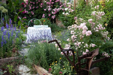 Natural landscape, Garden, Breakfast