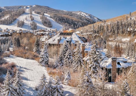 Property building, Skiing
