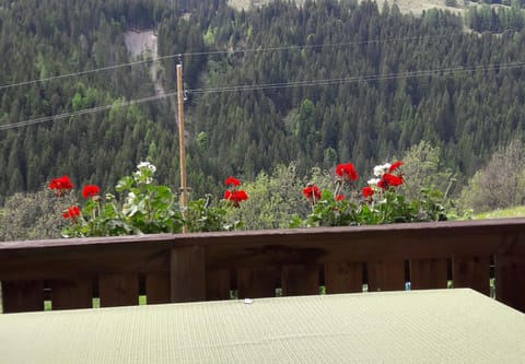 Natural landscape, View (from property/room), Balcony/Terrace