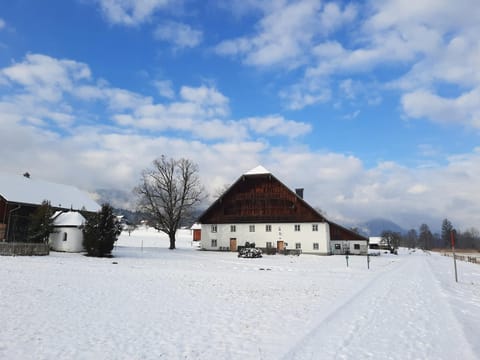 Pilznerhof Apartment in Salzburgerland