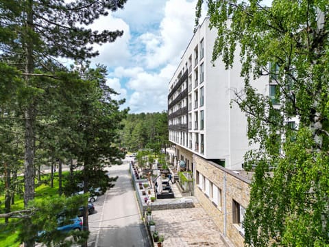 Spring, Day, Street view