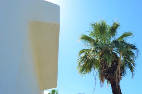 Musicland Hotel Hotel in Palm Springs