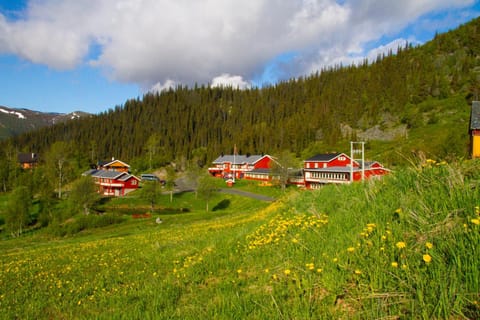 Property building, Natural landscape, Garden