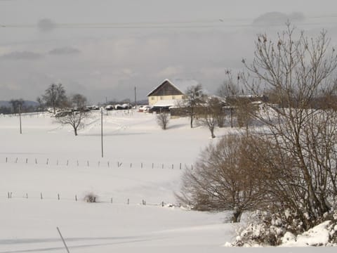 gite Loca House in Switzerland