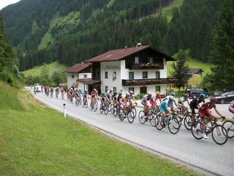 Property building, Facade/entrance, Summer, Cycling, On site