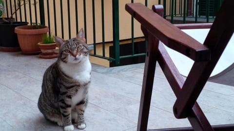 AWroom Bed and Breakfast in Riomaggiore