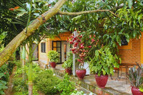 Property building, Garden, Balcony/Terrace
