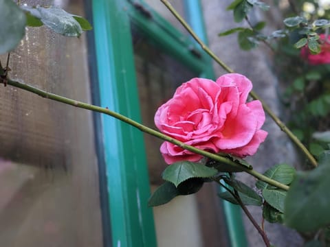 Yr Hen Feudy House in Wales