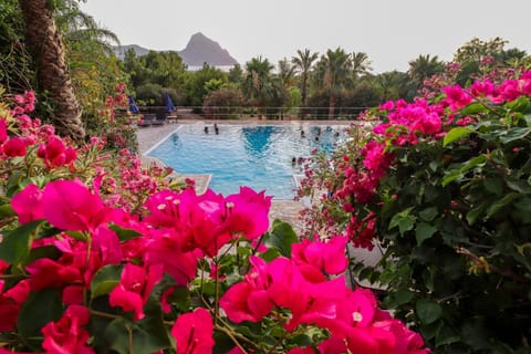 Pool view, Sea view, Swimming pool, Swimming pool