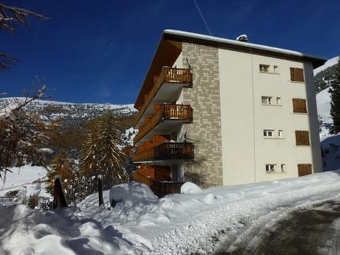 Spacieux appartement 8 pers, balcon sud, télésiège à 150m, animaux acceptés - Vieil Alpe - FR-1-405-37 Apartment in Huez