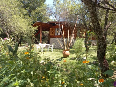 Property building, Garden view