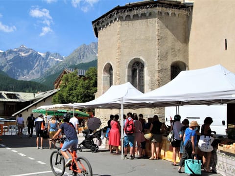 Charmant T2 avec coin montagne, 6 couchages, Monêtier les Bains, proche commerces et navettes ski - FR-1-330F-35 Apartment in Le Monêtier-les-Bains