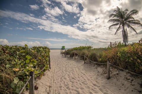 Natural landscape, Beach, Sea view