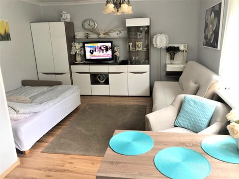 Ania Apartment in Pomeranian Voivodeship