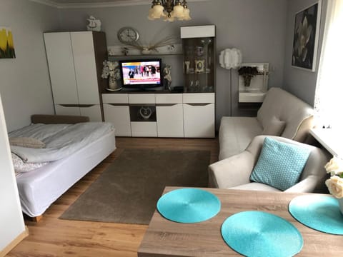 Ania Apartment in Pomeranian Voivodeship