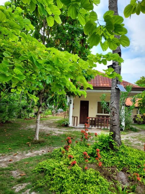 Property building, Garden view