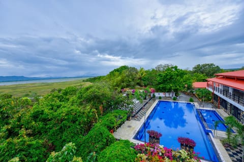 Pool view