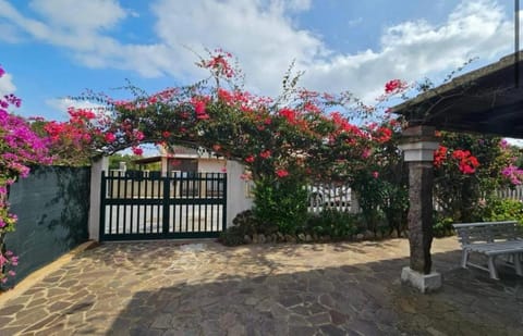 Villino Marrakech Apartment in Calasetta