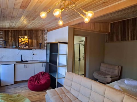Kitchen or kitchenette, Living room, Seating area, oven