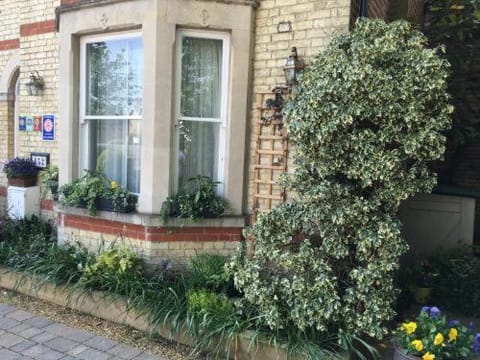 Property building, Spring, Day, Garden