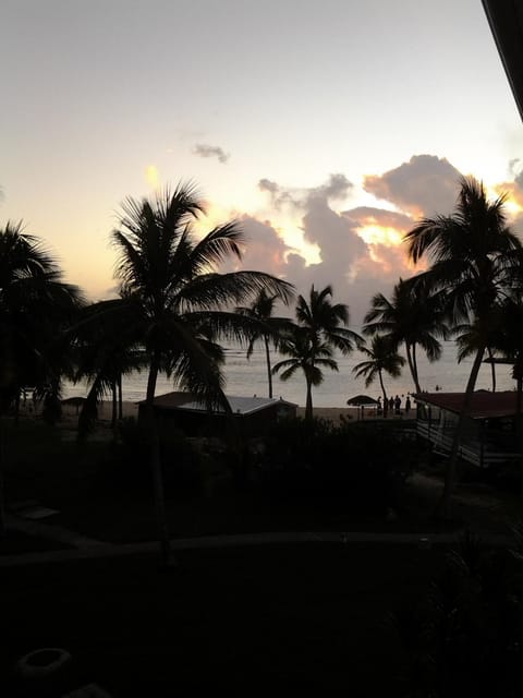 Sea view, Sunset