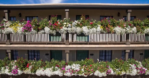 Facade/entrance, Bird's eye view, Summer, Decorative detail