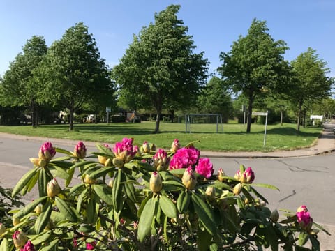 Schlei Idyll Apartment in Kappeln