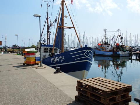 Schlei Idyll Apartment in Kappeln