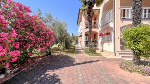 Property building, Patio