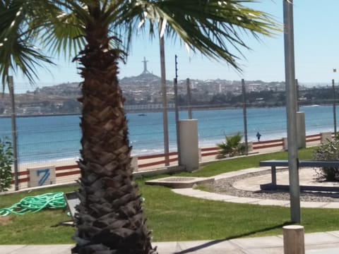 Garden, Beach