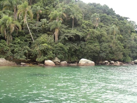 Other, Sea view