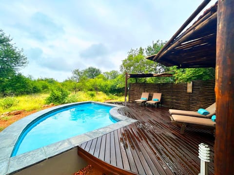 Natural landscape, Swimming pool, sunbed