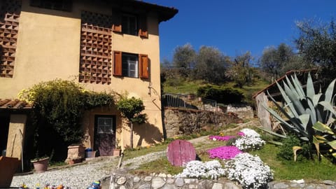 casa al colle House in Lucca