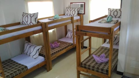 bunk bed
