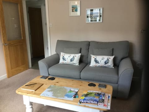 Mount Pleasant Apartments Apartment in Wales