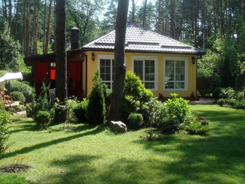 Natural landscape