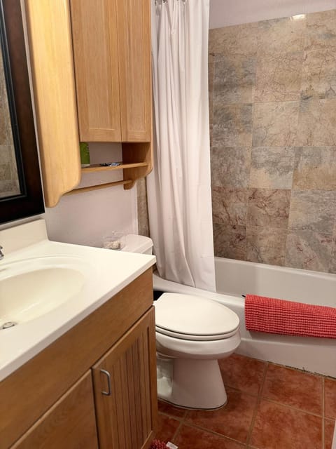 Shower, Toilet, Bathroom, Bath