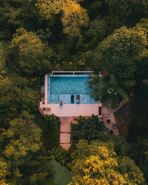 Natural landscape, Garden view, Pool view, Swimming pool
