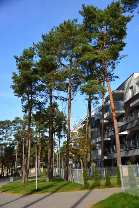 Facade/entrance, Natural landscape, Floor plan, Street view