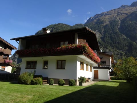 Property building, Summer, Garden