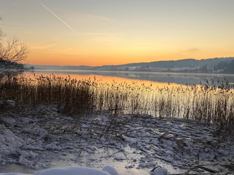 Fleur d'eau Apartment in Canton of Vaud