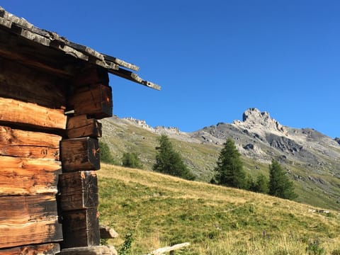 Immeuble La Maya Apartment in Canton of Valais