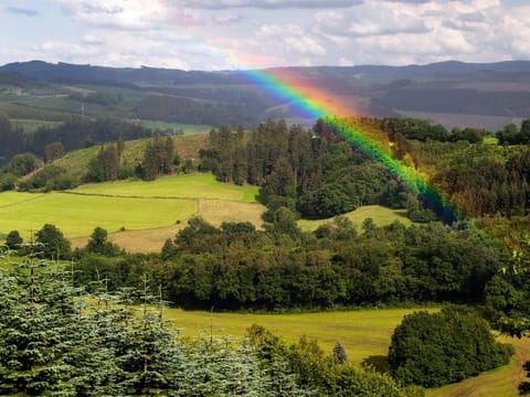 Summer, View (from property/room), On site, Landmark view