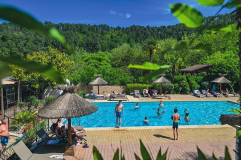 Pool view, Swimming pool