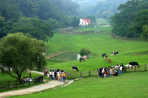Natural landscape