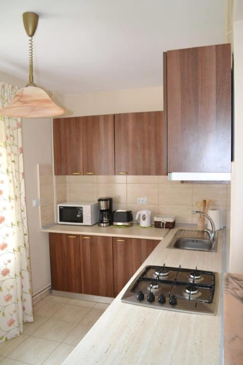 Casa Retezat House in Serbia