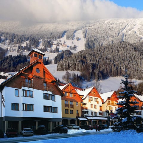 Property building, Day, Natural landscape, Winter, Mountain view