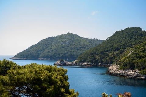 Natural landscape, Sea view